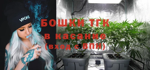 трава Осинники