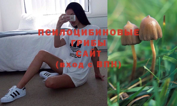 трава Осинники