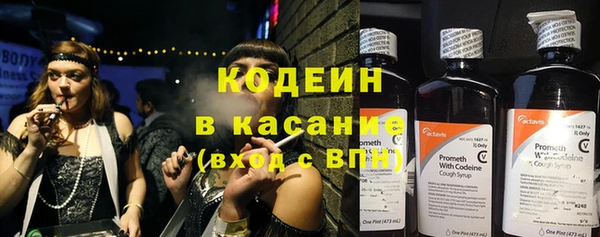 дурь Губаха