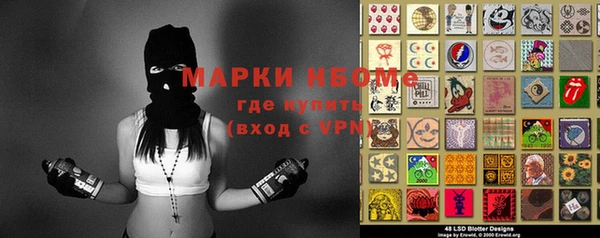 трава Осинники